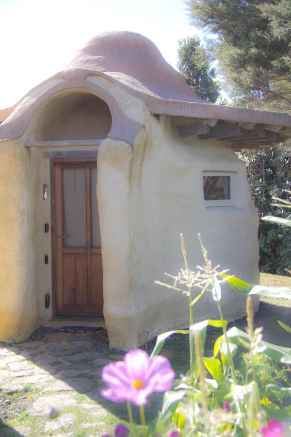 Solscape Villa Raglan Exterior photo